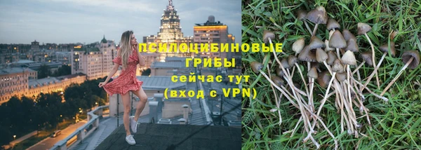 ECSTASY Алексин