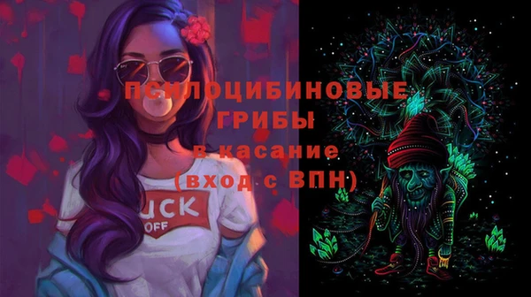мет Пересвет